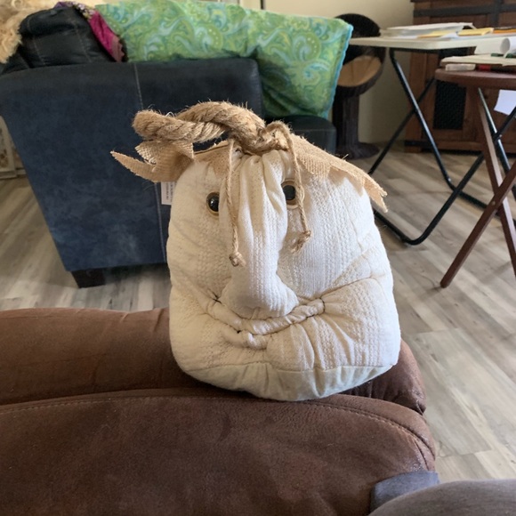 Pumpkin - Picture 2 of 2